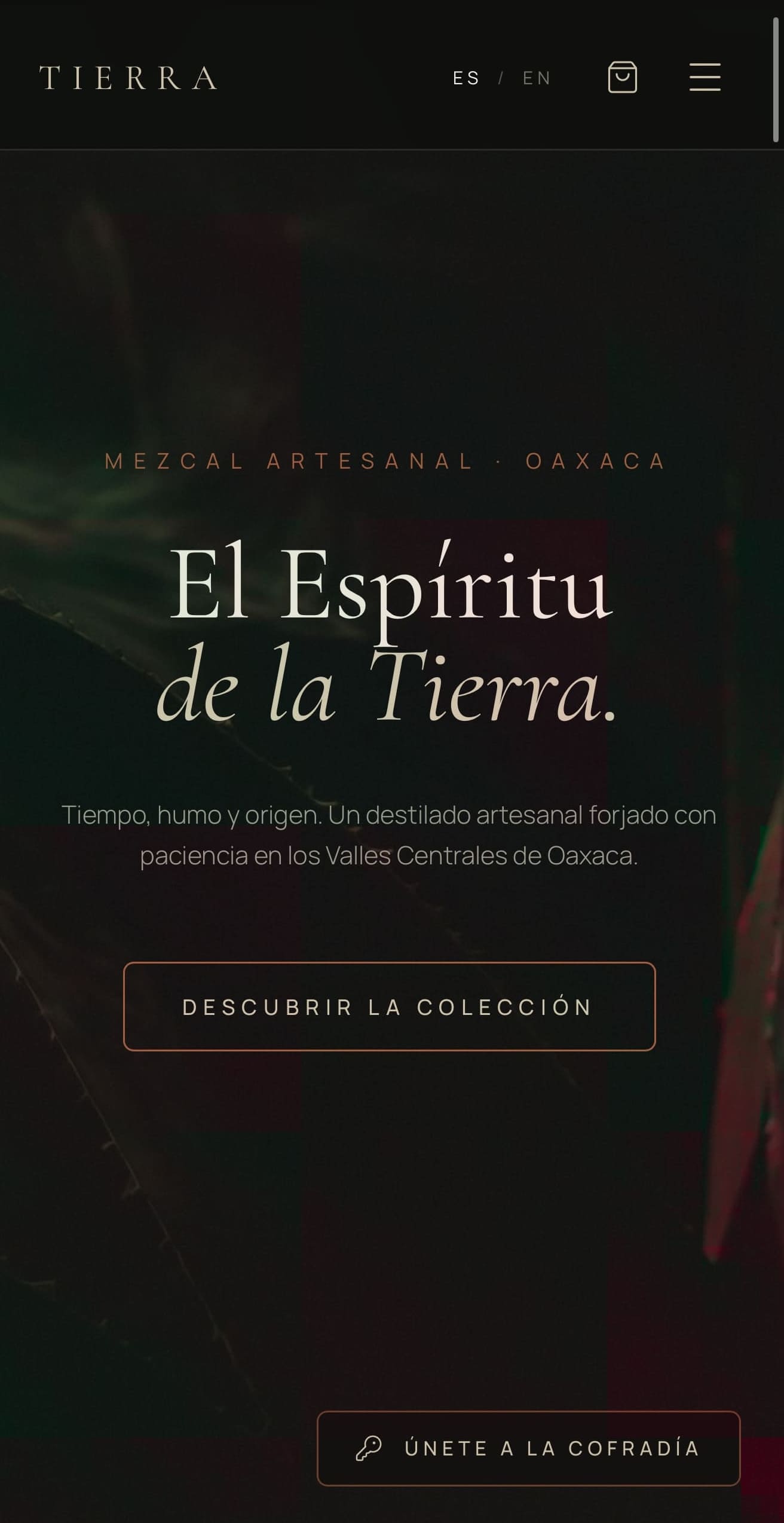 Demo de sitio web bilingüe y tienda en línea para marcas de mezcal artesanal y destilados desarrollado por pro-sites.mx