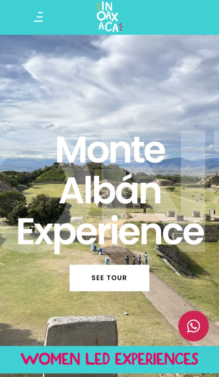 pro-sites.mx - Agencia de Diseño Web en Oaxaca 11 IMG 2535