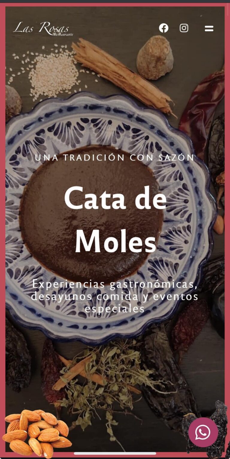 pro-sites.mx - Agencia de Diseño Web en Oaxaca 12 IMG 6238 2