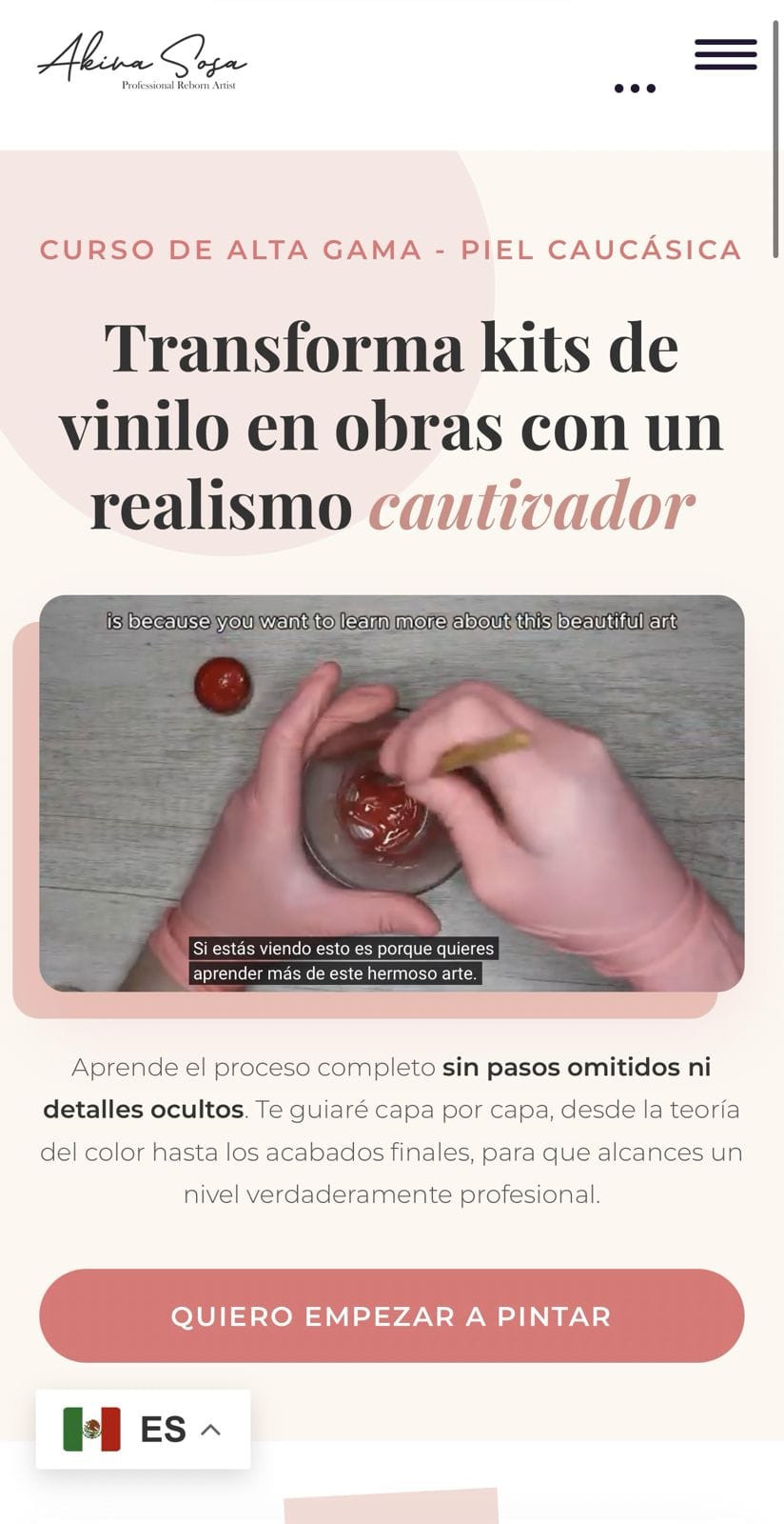 Plataforma Educativa Curso Reborn